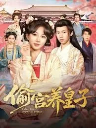 偷宫养皇子演员表大全