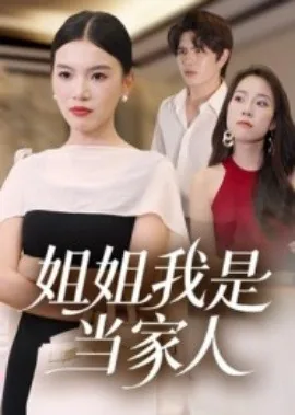 姐姐我是当家人的小说