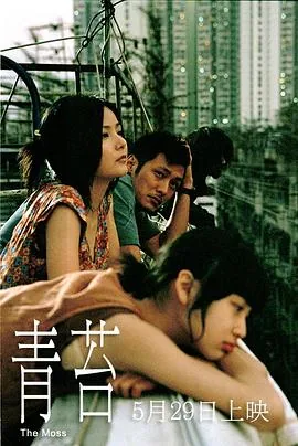 青苔特效药