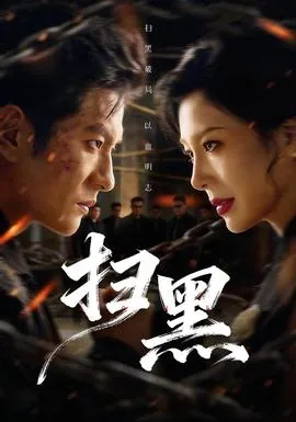 扫黑四个特征