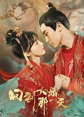 回到大婚那一天电视剧绑架