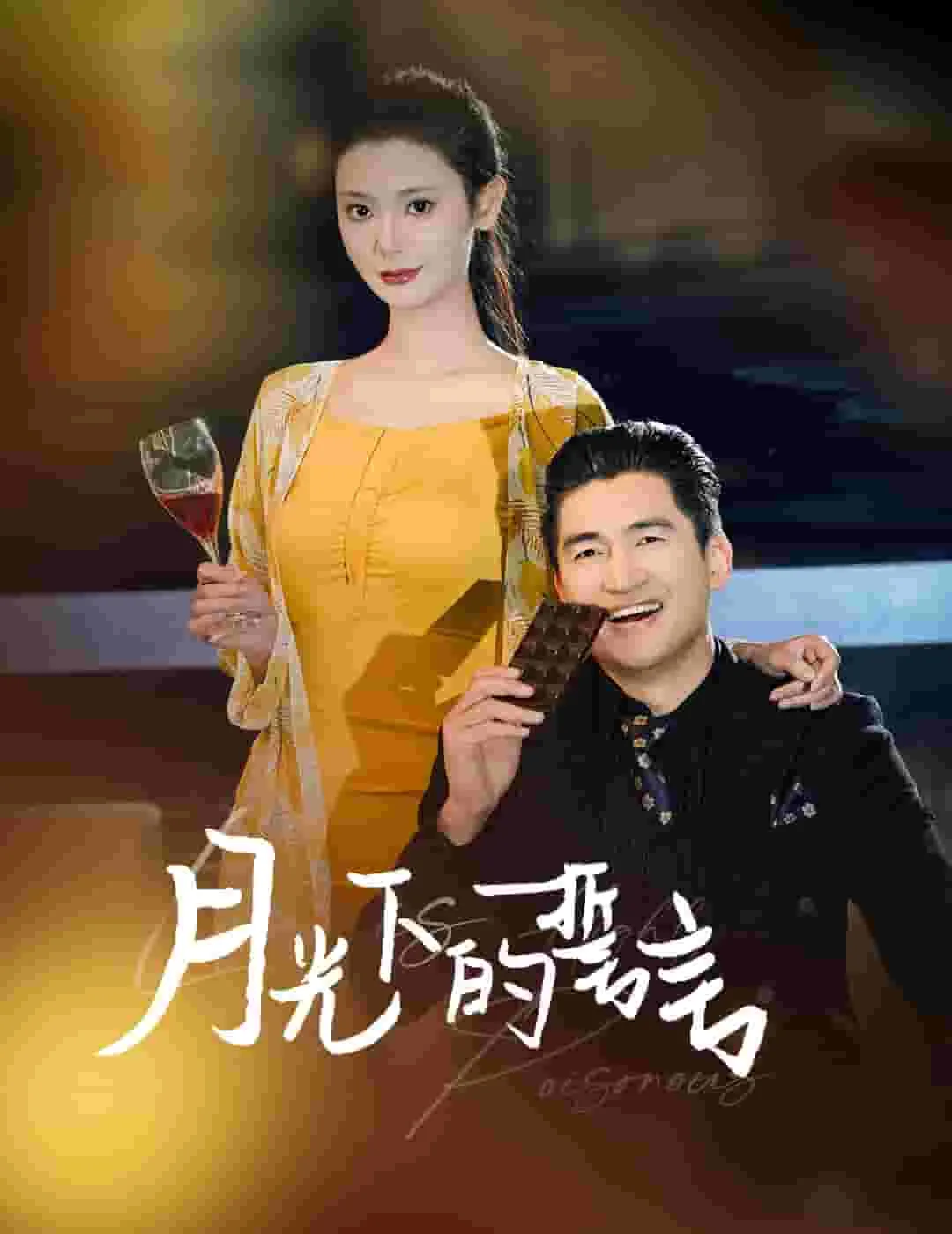 月光下的誓言免费观看电视剧在线播放