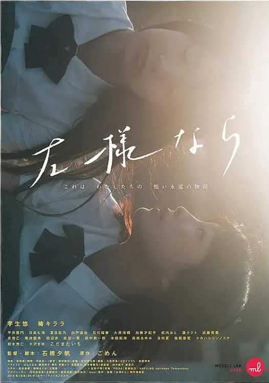 如是观照
