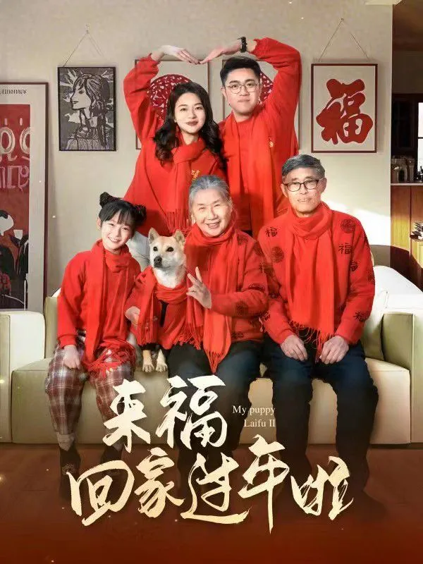 来福回家过年啦微博