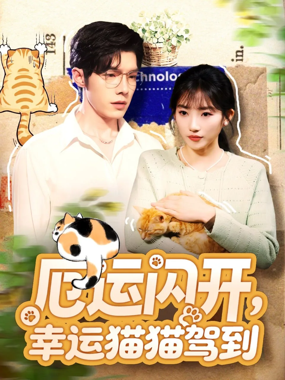 厄运闪开,幸运猫猫驾到英文翻译