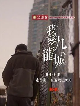 我爱九龙城电视剧免费观看