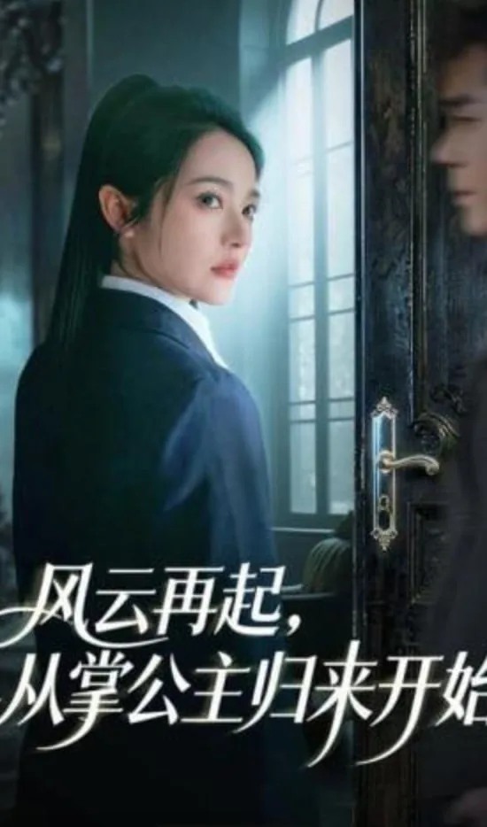 风云再起,从掌公主归来开始的小说