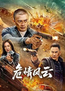 危情风云影评简单概括