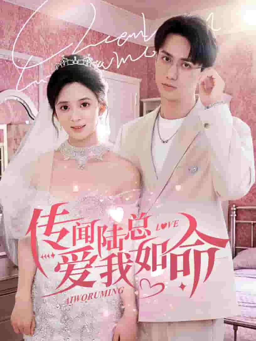 传闻陆总爱我如命小说