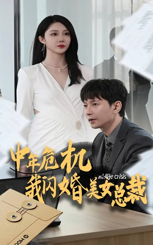 中年危机 小说