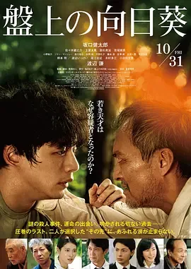 棋盘上的向日葵评价
