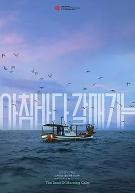 早晨,海鸥