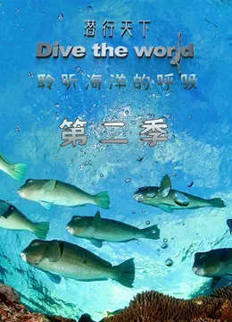 有歌第二季