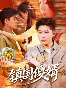 镇国傻婿女主是谁扮演的