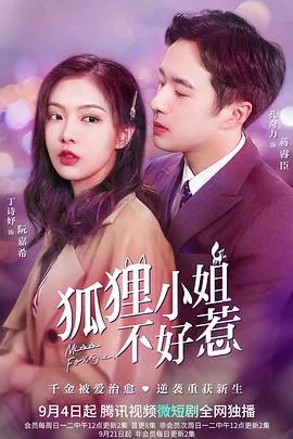 狐狸小姐不好惹达达兔免费观看