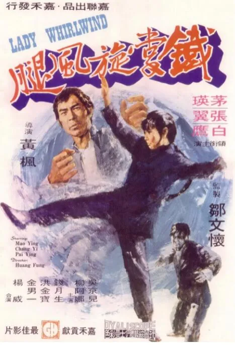 铁掌旋风腿高清下载