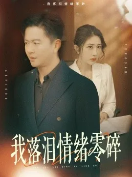 我落泪情绪零碎下一句怎么接