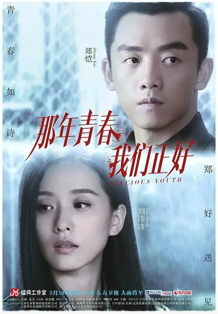 那年青春我们正好全集免费观看