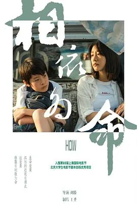 相依为命歌曲表达的情感