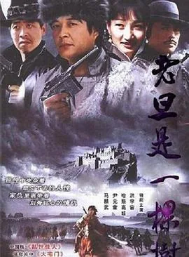 电影老旦是一棵树第十九集