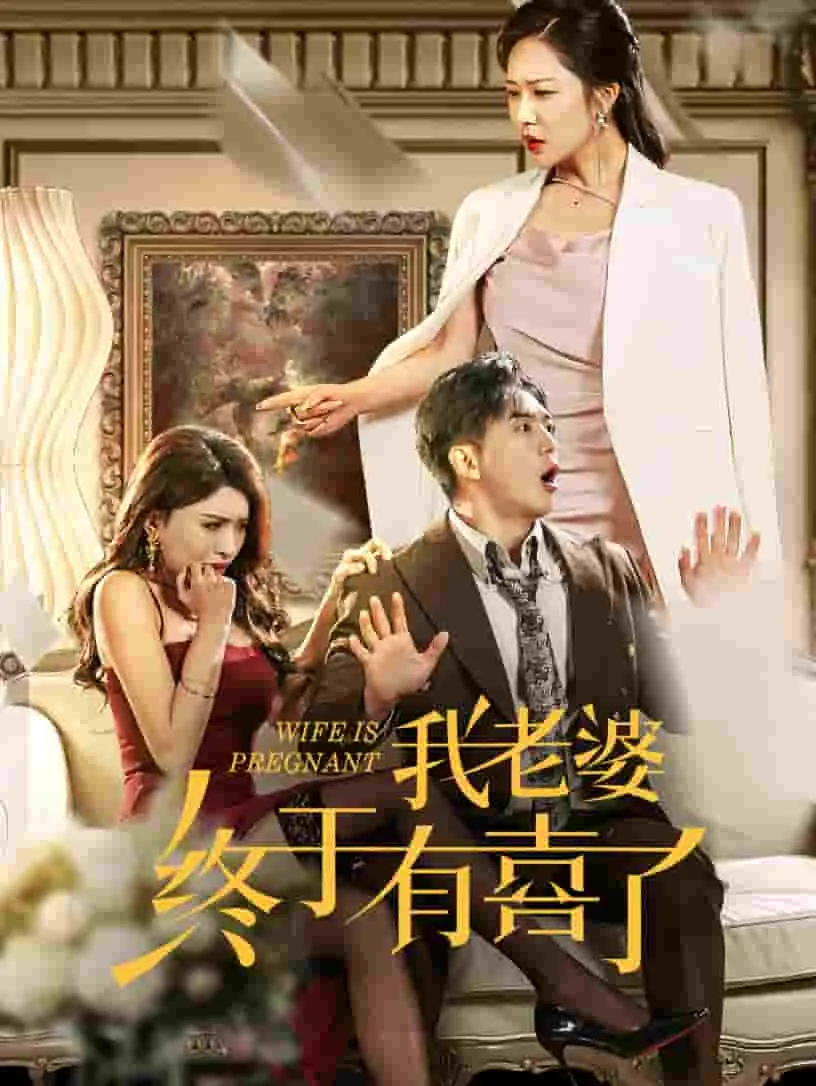 我老婆终于有喜了刘美美扮演者