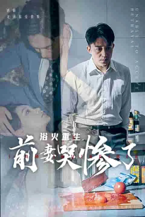浴火重生,前妻哭惨了小说阅读