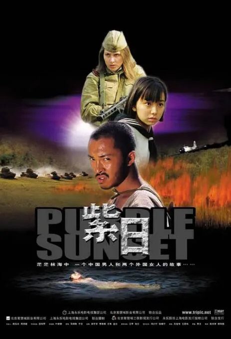 紫日完整版