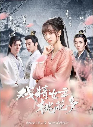 戏精女主桃花多共多少集