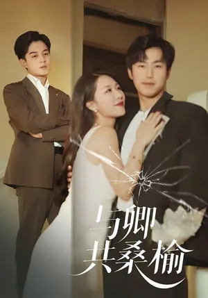 与卿共桑榆短剧演员表