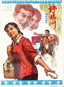 野鸭洲的故事简介