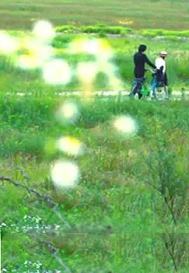 牵牛花挤奶农场