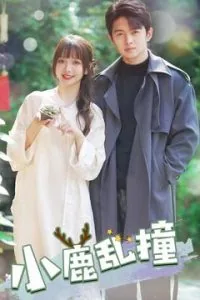小鹿乱撞可以形容男生吗