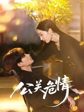 公关危情电视剧免费观看