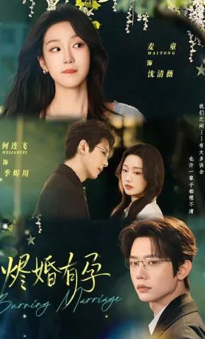 烬婚有孕季先生是谁