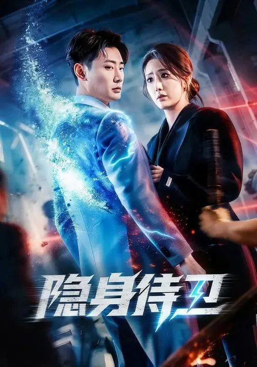 隐身侍卫小说TXT免费下载