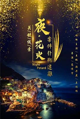 夜花火电影