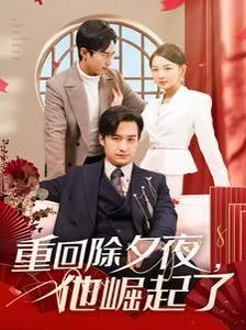 重回除夕夜他崛起了完结了吗