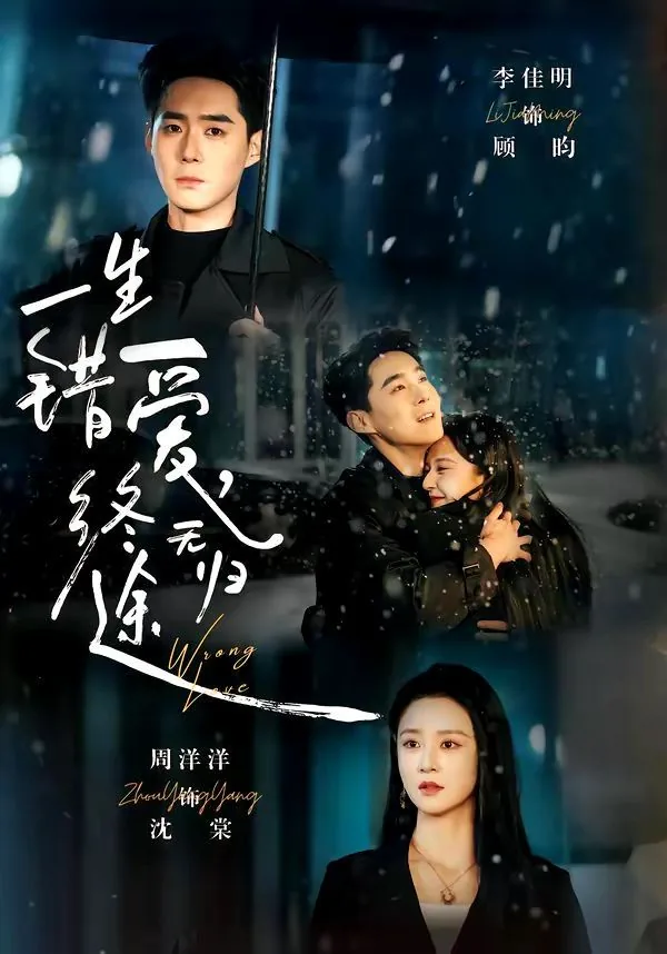 一生错爱,终无归免费阅读