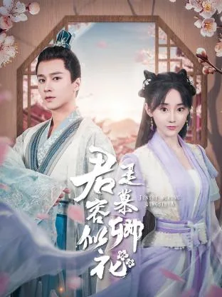 君是慕容卿似花分集剧情