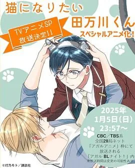 想变成猫的田万川君漫画在线观看