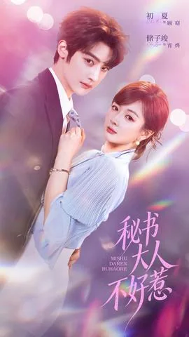 秘书大人请留情