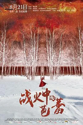 战火中的芭蕾高清在线观看