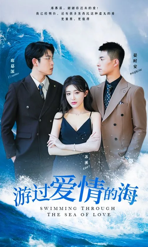 游过爱情的海小说