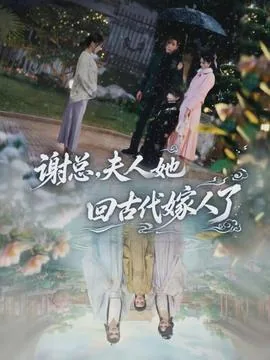 谢总夫人又带娃跑了电视剧