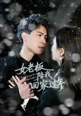 女老板陪我回家过年怎么说