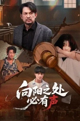 向阳之处必有声电视剧