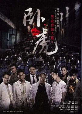 卧虎寻飞小说