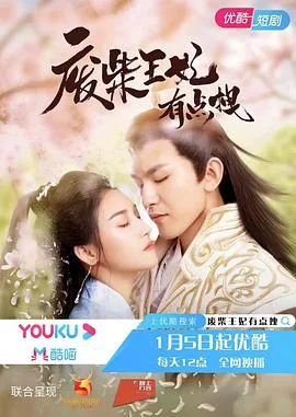 废柴王妃有点拽全剧