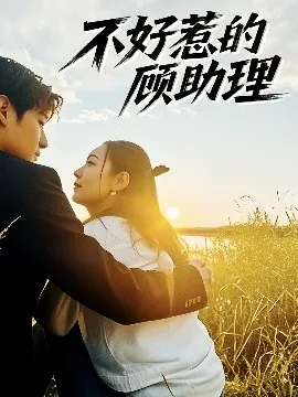不好惹的顾助理小说阅读