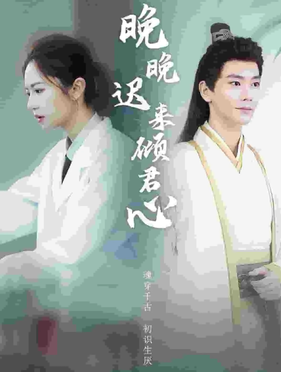 晚晚迟来倾君心什么意思